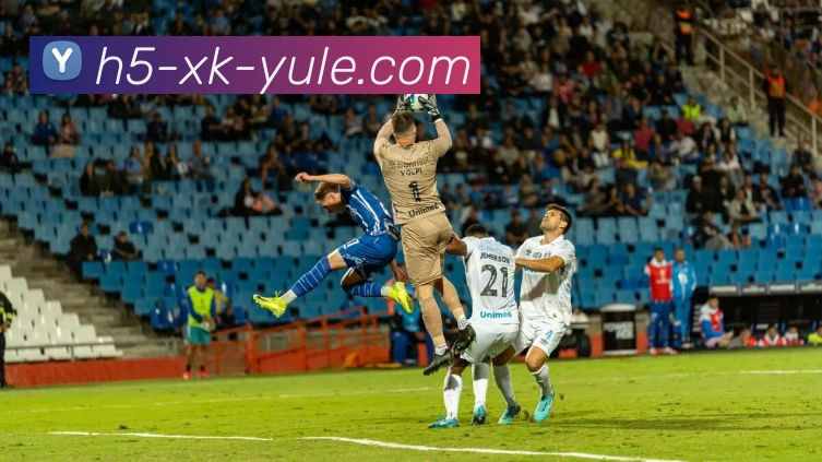 星空娱乐平台生态图