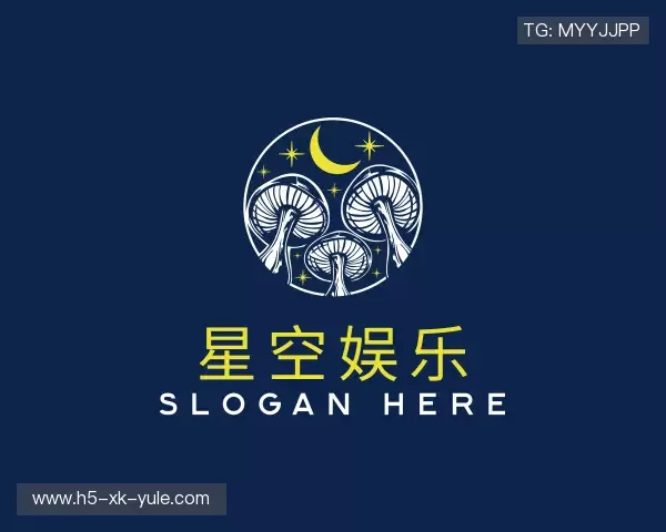 关于星空娱乐中国